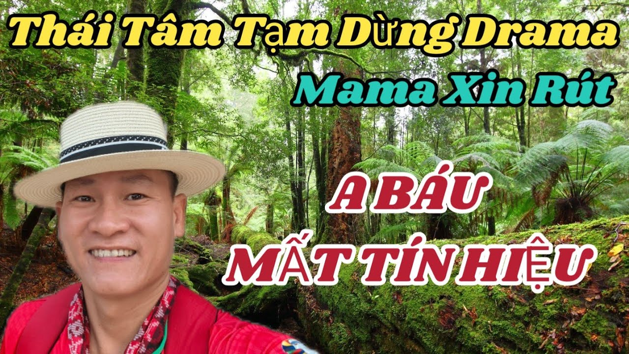 Mất Kết Nối Vì Bị Soi Quá Nhiều?