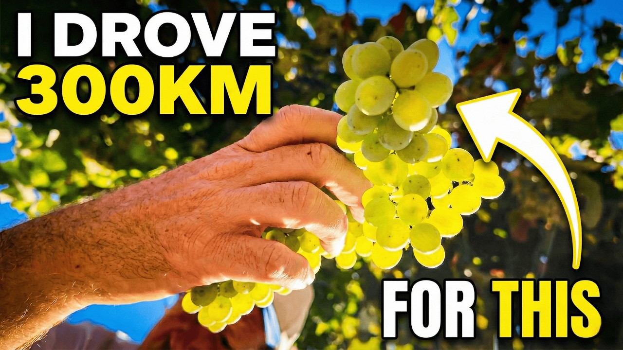 300km Across Australia: The Real Decison Behind When To Pick.