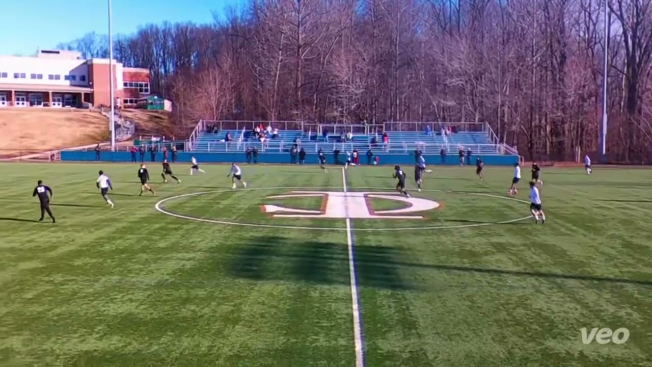 Dane Webb (#23) Highlights 2