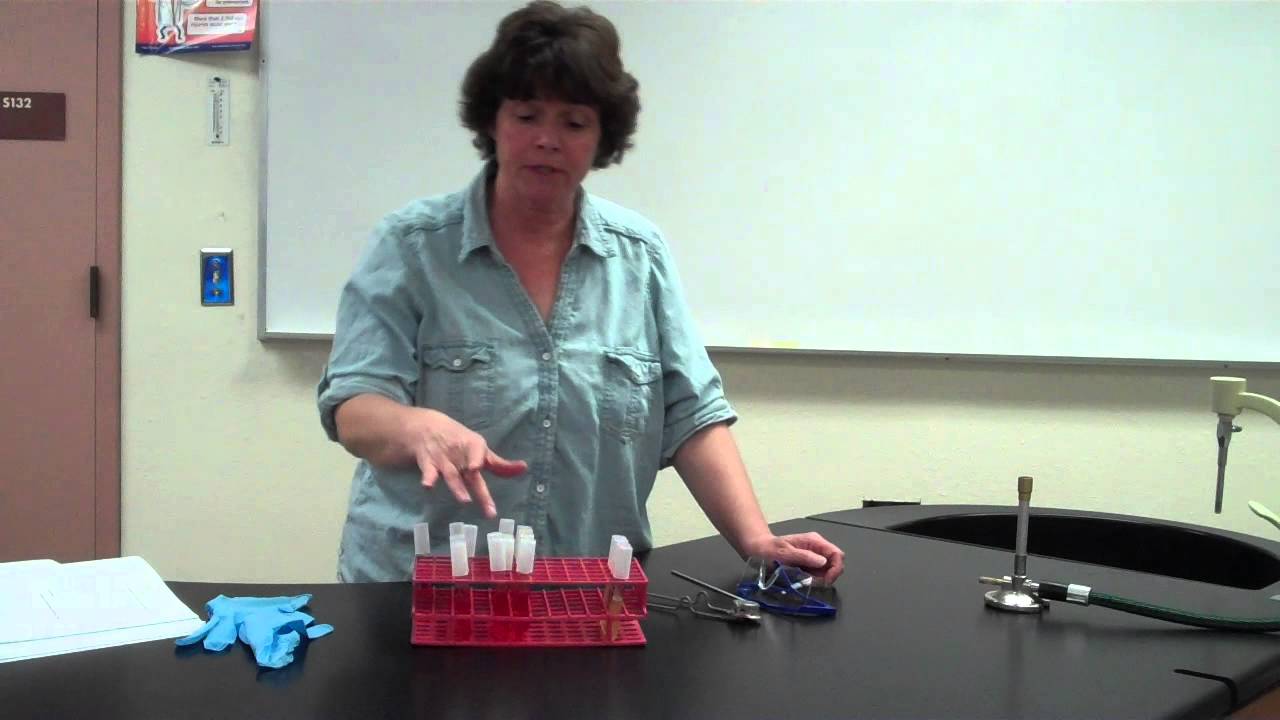 Carbohydrate Fermentation