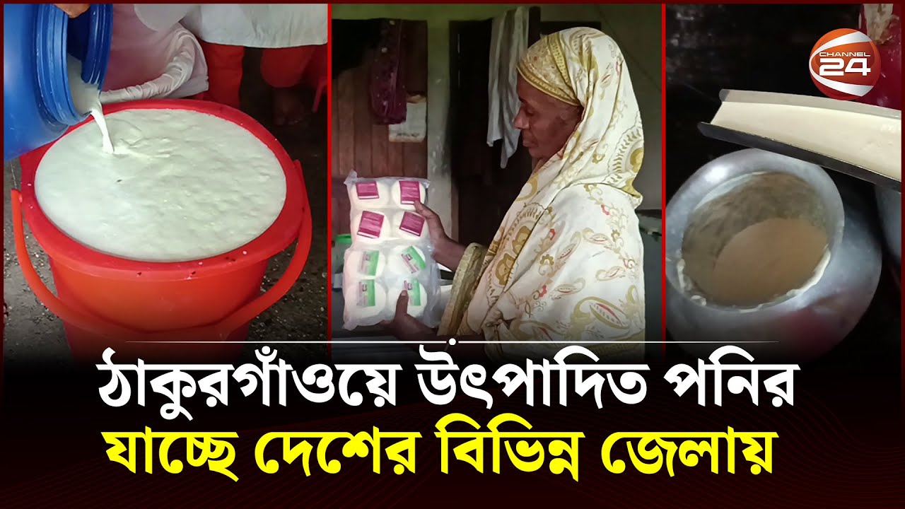 ঠাকুরগাঁওয়ে উৎপাদিত পনির যাচ্ছে দেশের বিভিন্ন জেলায় | Thakurgaon News | Paneer | Channel 24