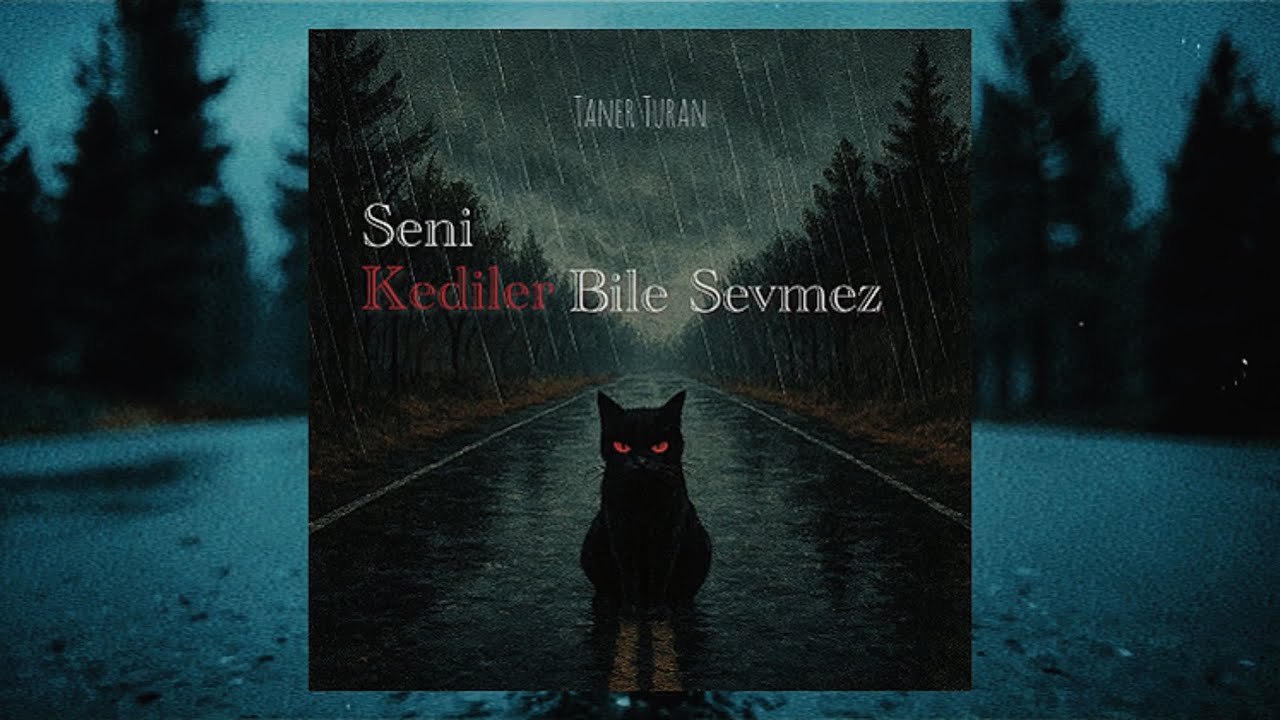 Taner Turan - Seni Kediler Bile Sevmez