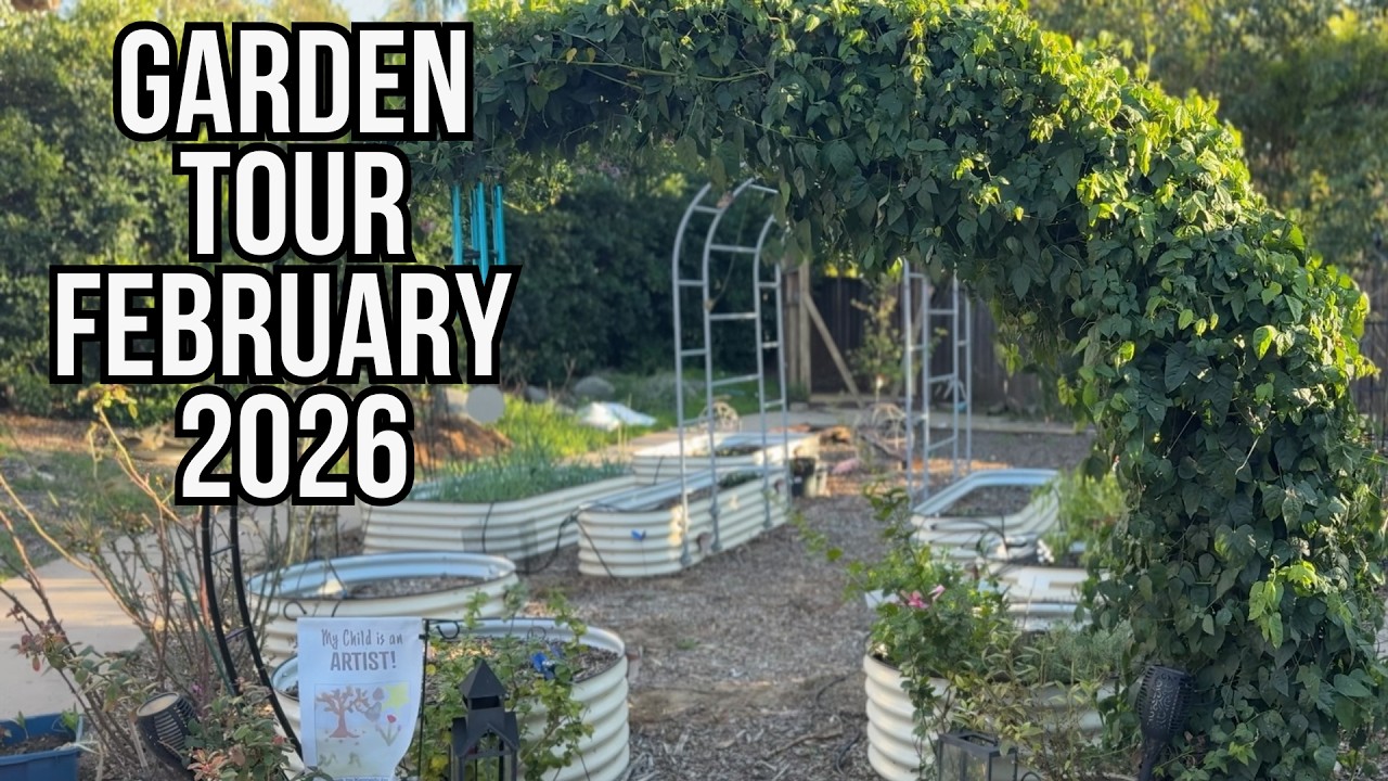 Garden Tour February 2026 with a Beginner Gardener - Millennial Serial Hobbyist | Tucker Tribe