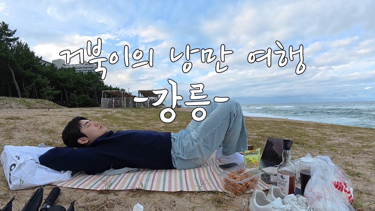 야생 거북이의 나 홀로 강릉기행