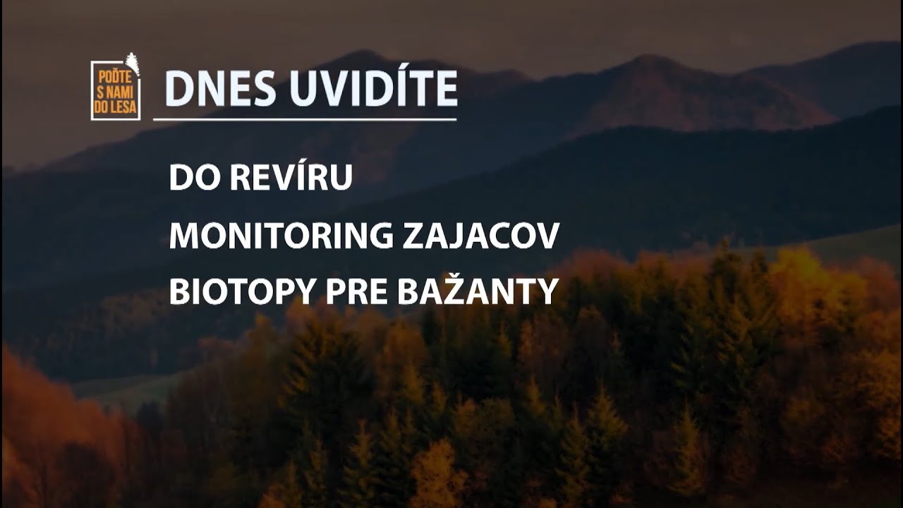 Poďte s nami do lesa 23/2025