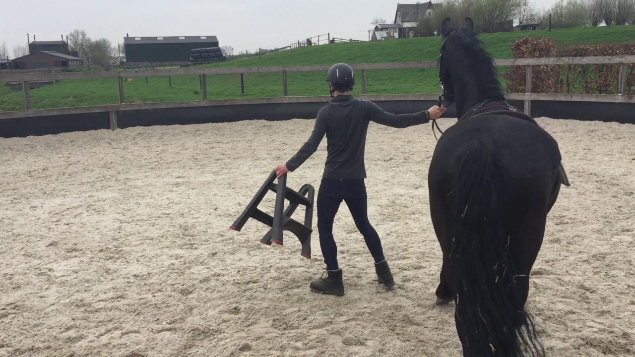 Zo leer je je paard stil staan met opstijgen