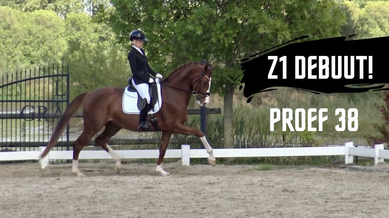 Ons Z1 debuut!