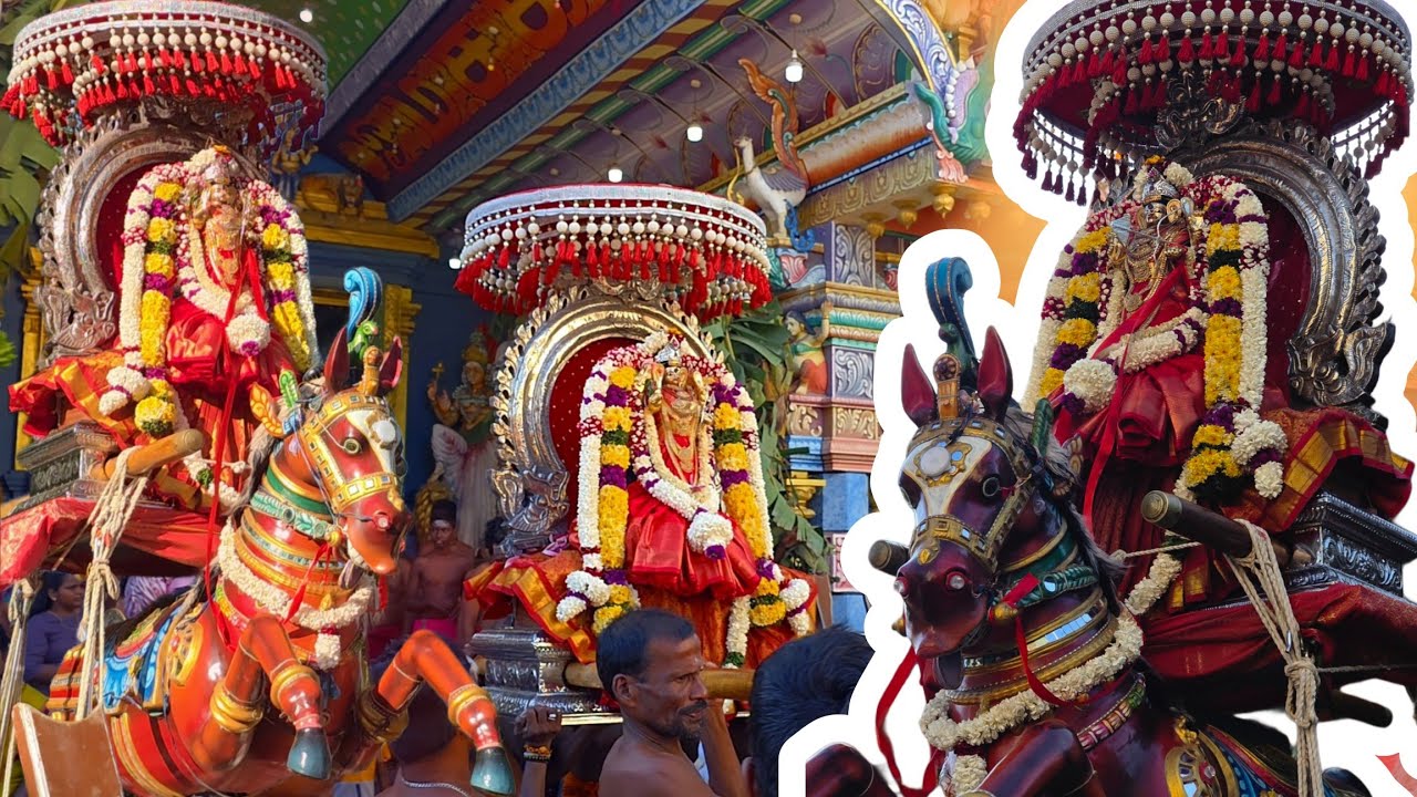🛑 காரைநகர் மணற்காட்டு முத்துமாரி அம்மன் வேட்டைத் திருவிழா கண்முன்னே  நடந்த அதிசயம்