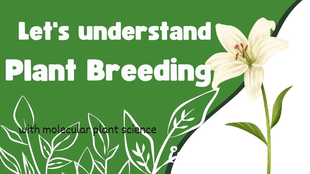 🌱 What Is Plant Breeding? 🌱