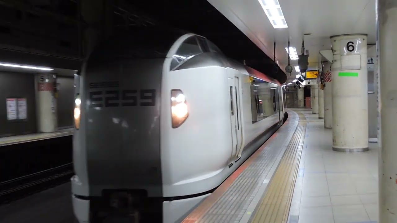 E259系　6両編成　Ne011編成　臨時特急　しおさい84号　東京駅到着　2025/12/31