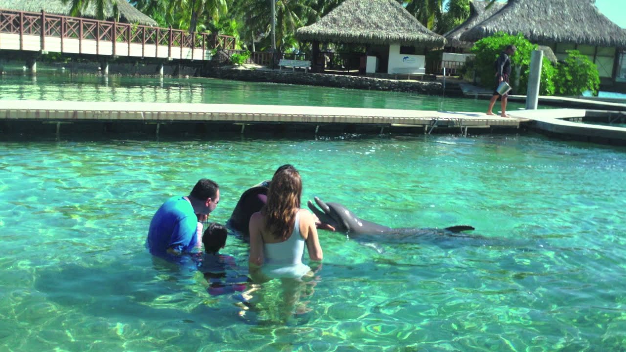 Bora Bora, Morea & Tahiti 2013 Clip