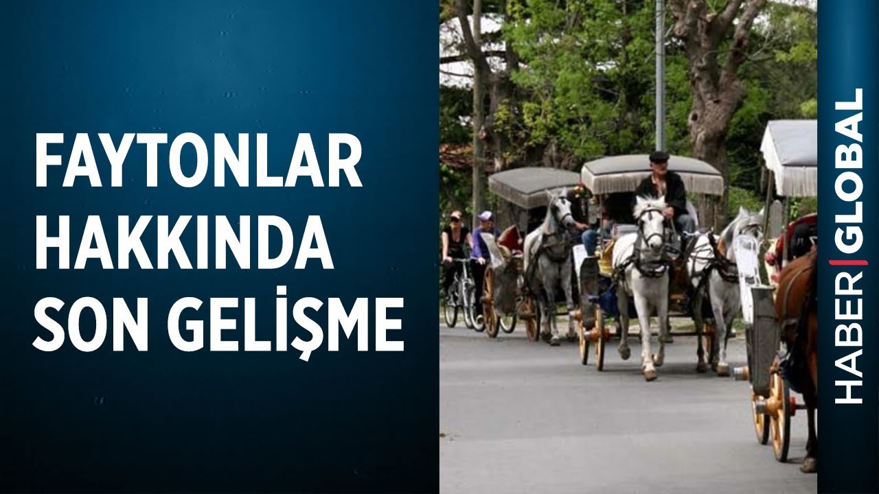 Faytonlar Kaldırılacak mı? Hayvan Hakları Komisyonu Büyükada'da Neler Yapacak?