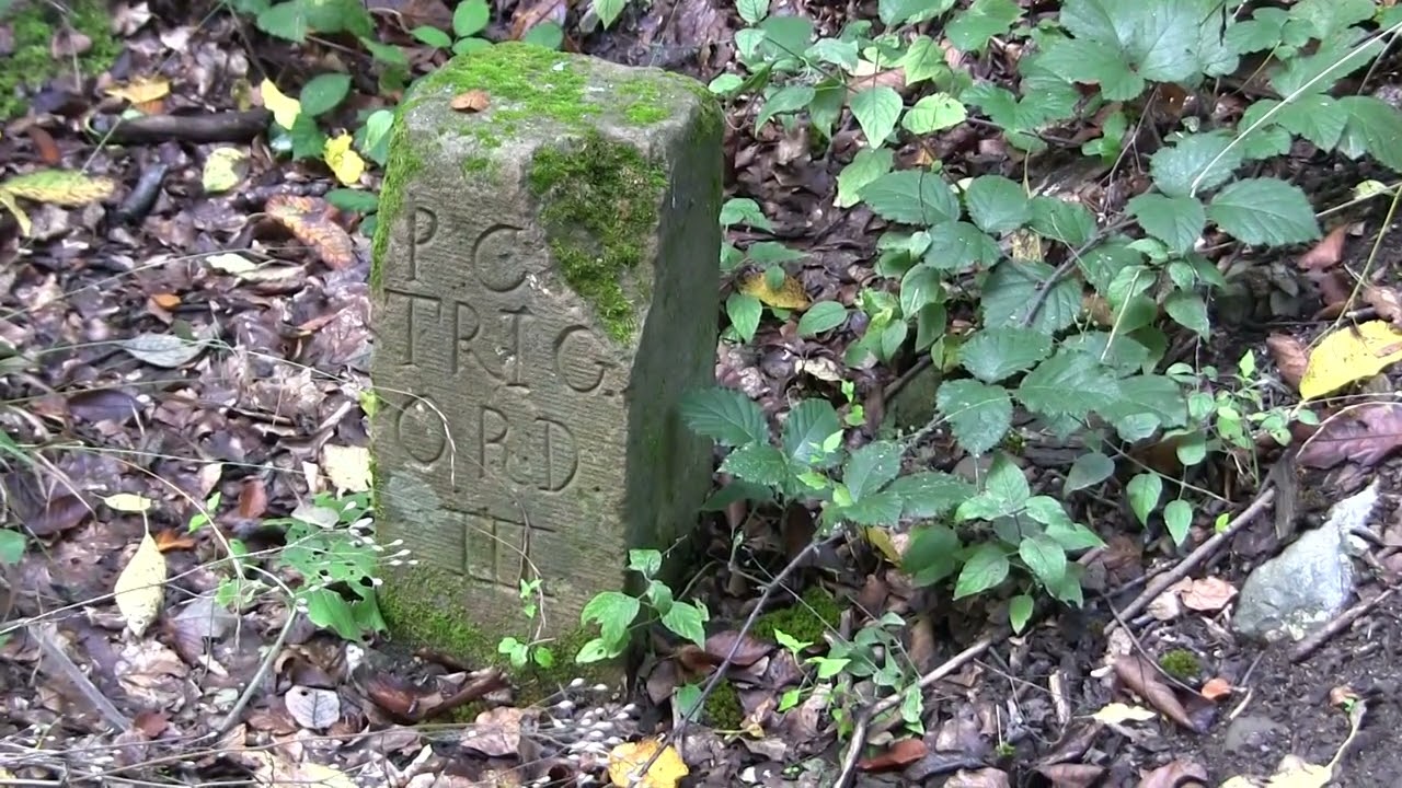 Wanderung zur Burgruibe Hardeck