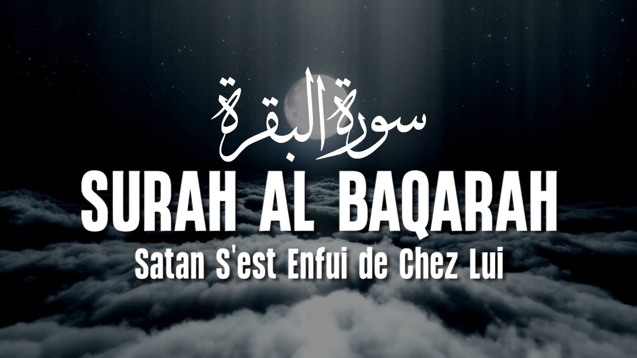 Surah Al Baqarah سورة البقرة With a Beautiful Voice Makes the Heart Calm | Ahmad Al Shalabi