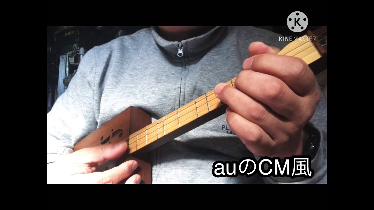 サンレレという楽器を弾いてみた！