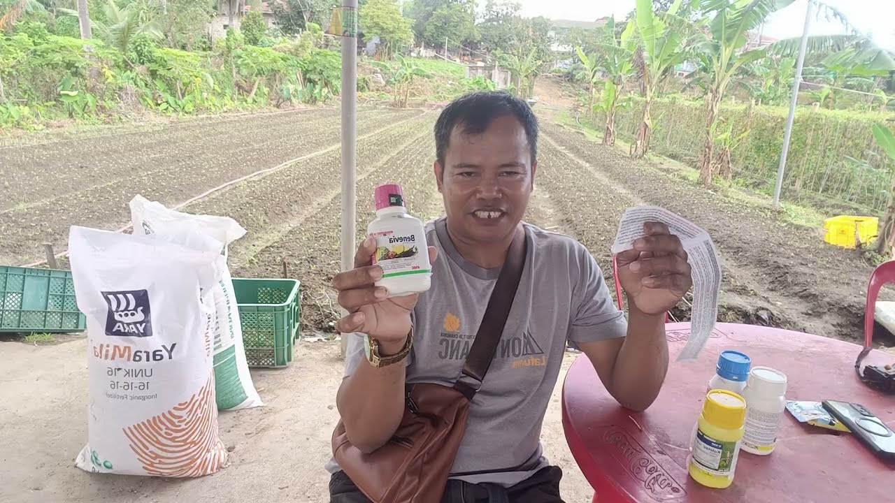 Welcome po sa Inyong lahat sa usapang insecticide para malaman natin ang dosage,at insecto na kaya 🥰
