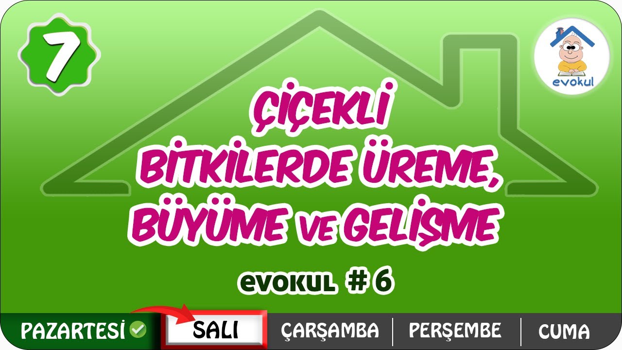 Çiçekli Bitkilerde Üreme, Büyüme ve Gelişme | 7. Sınıf #uzaktaneğitim #evokul Kampı
