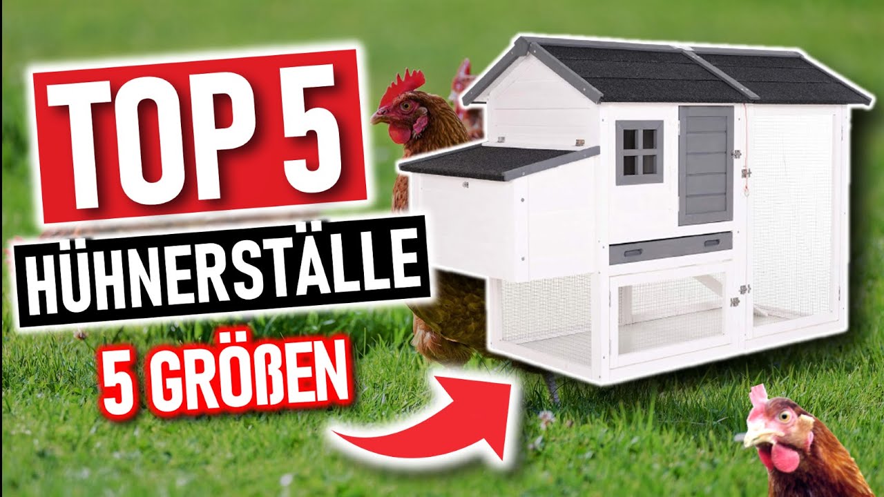 Die besten HÜHNERSTÄLLE 2026 | Top 5 Hühnerställe, Hühnerstall Test