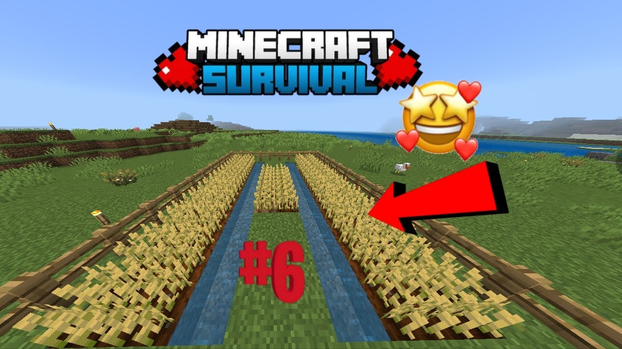 I start farming ||Minecraft #6