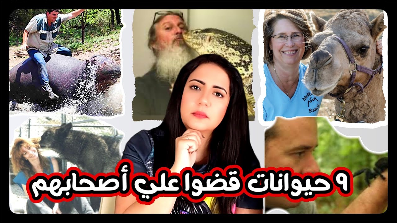 ٩ قصص لاشخاص ربوا حيوانات بريه ودفعوا التمن حياتهم 😳