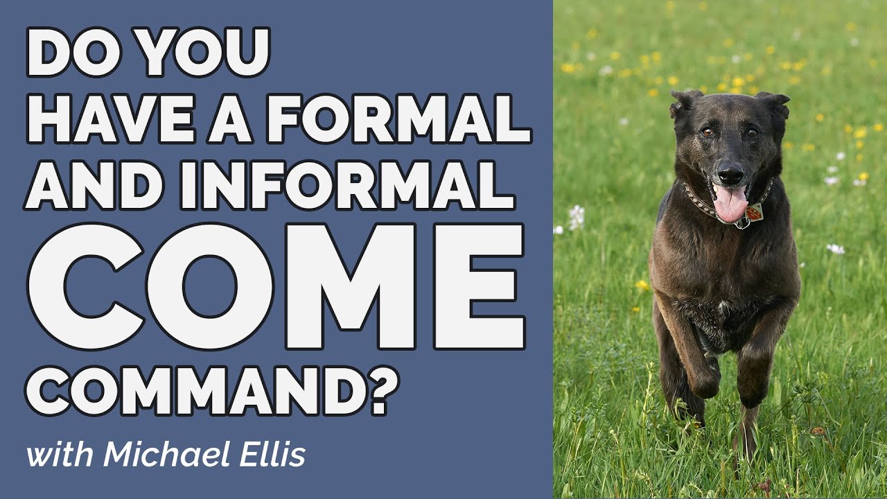 Does Michael Ellis Have a Formal and informal COME Command? Find out now!