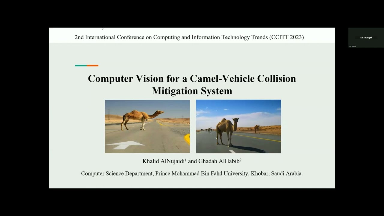 Computer Vision For a Camel Vehicle Collision Mitigation System