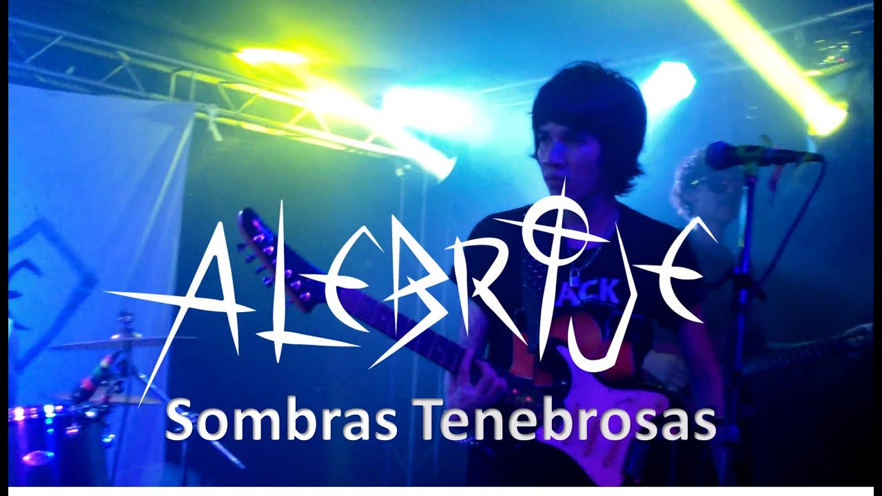 Sombras Tenebrosas - Alebrije - En Gato Calavera