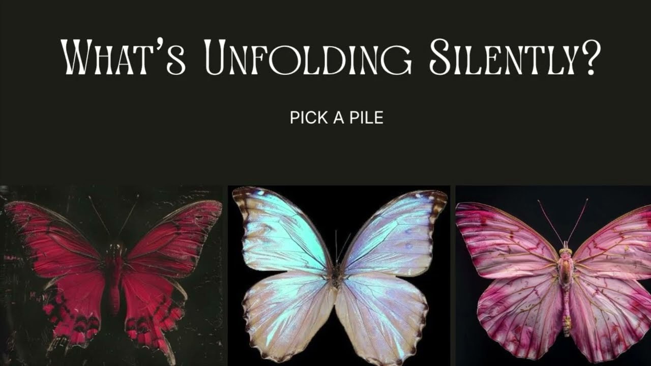 What's Unfolding Silently? | PICKAPILE 