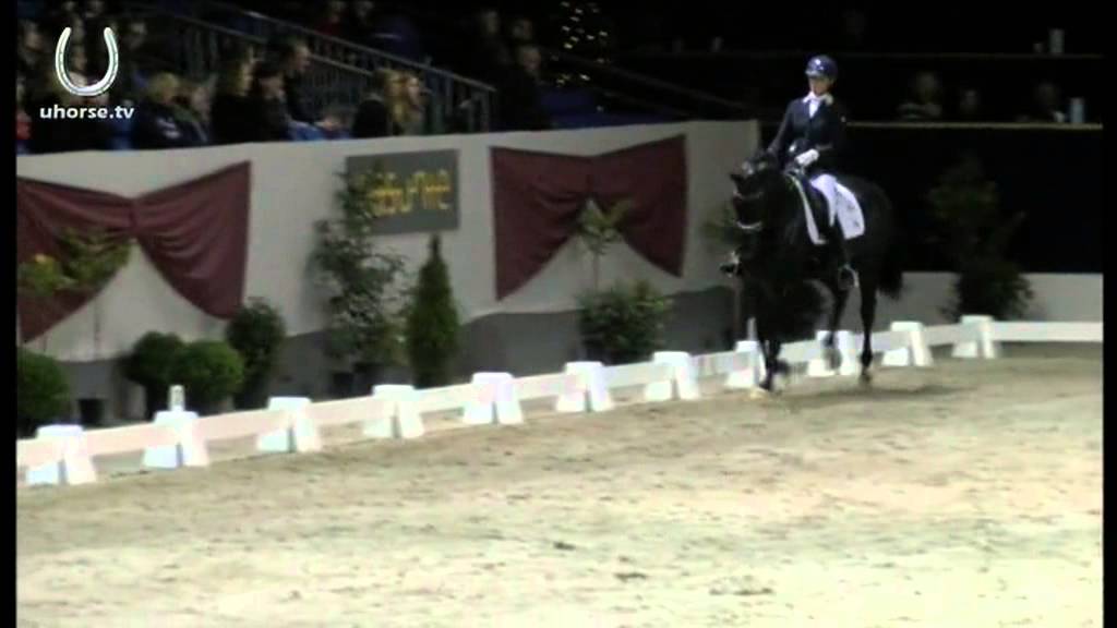 Dream Boy (Vivaldi x Ferro)