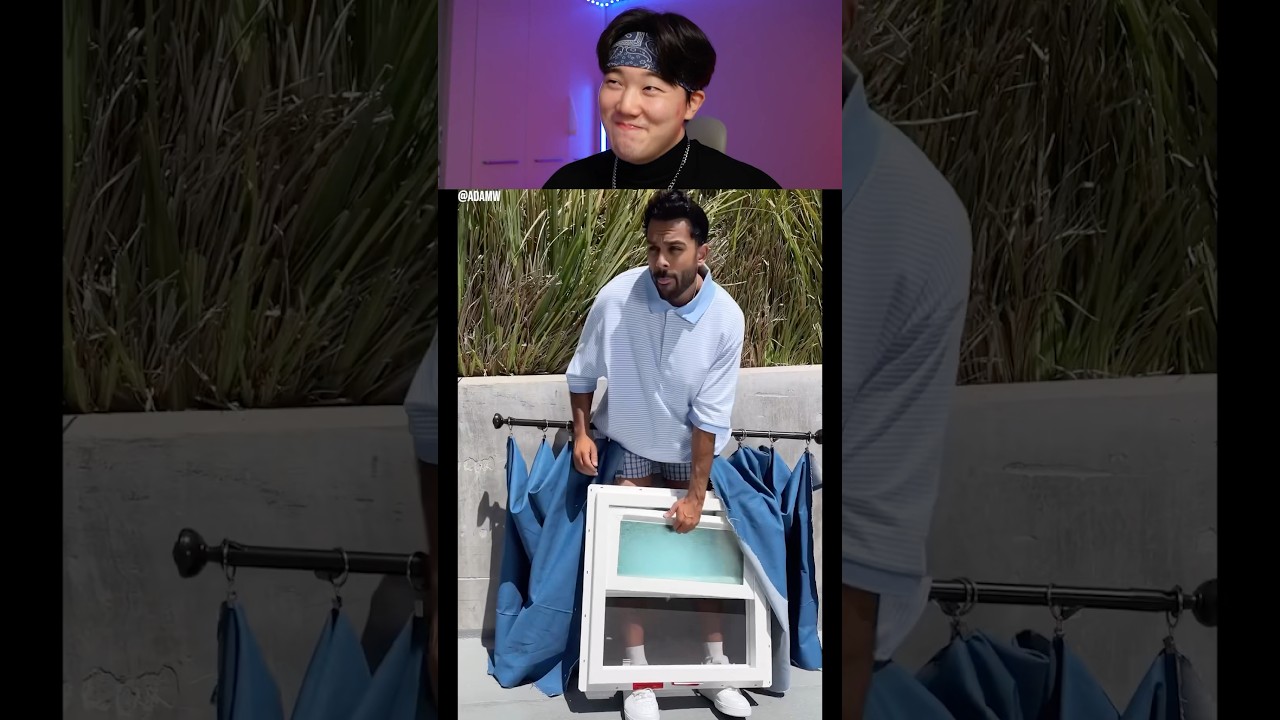 Try Not to Laugh Challenge 644 🤣 