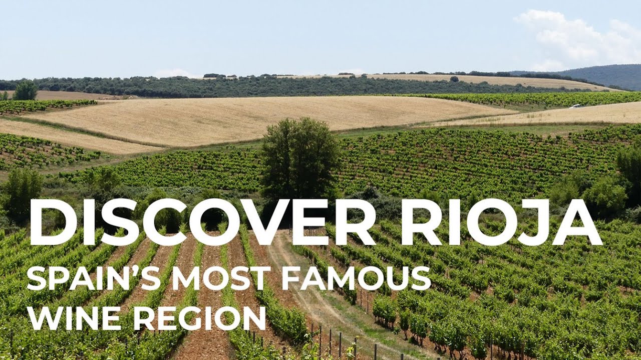 Discover the Rioja Wine Region