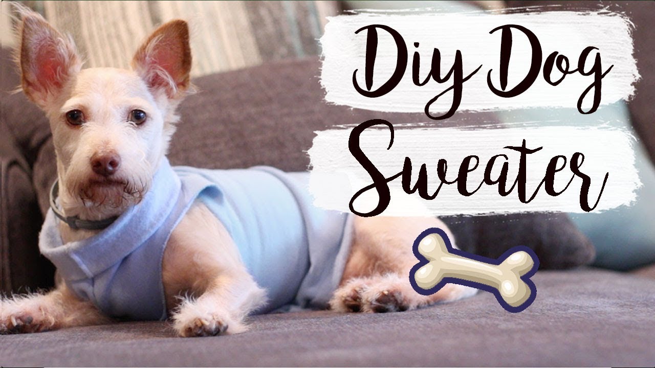 Easy DIY Dog Sweater (No Sew) | Pet DIYs