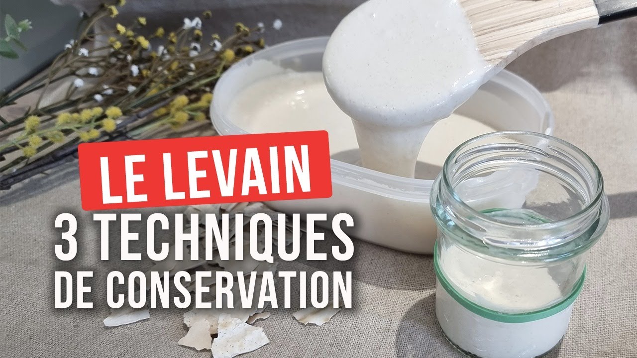 Comment conserver son levain ? 3 techniques de conservation du levain.