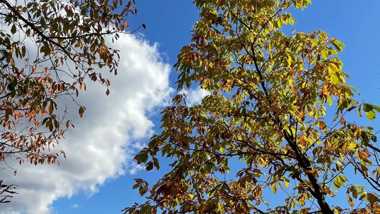 Where Autumn Whispers! - Unedited - raw footage 