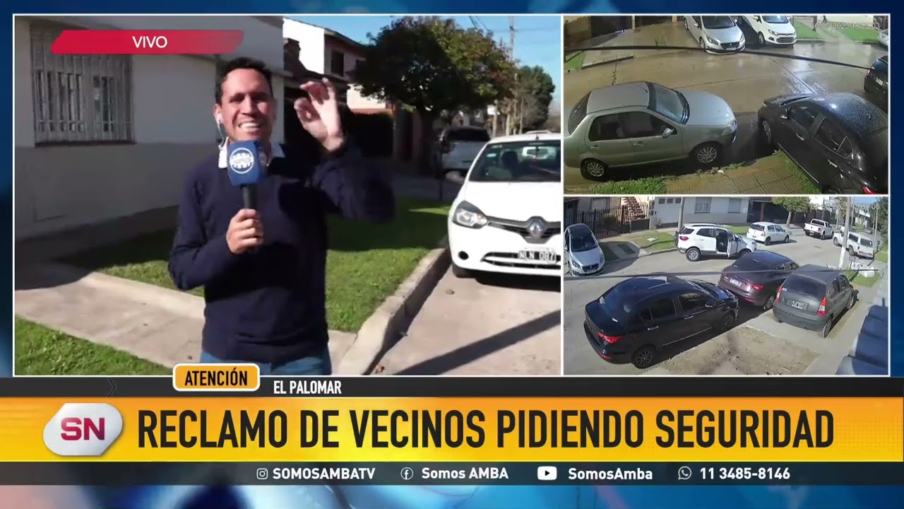 Inseguridad en Palomar