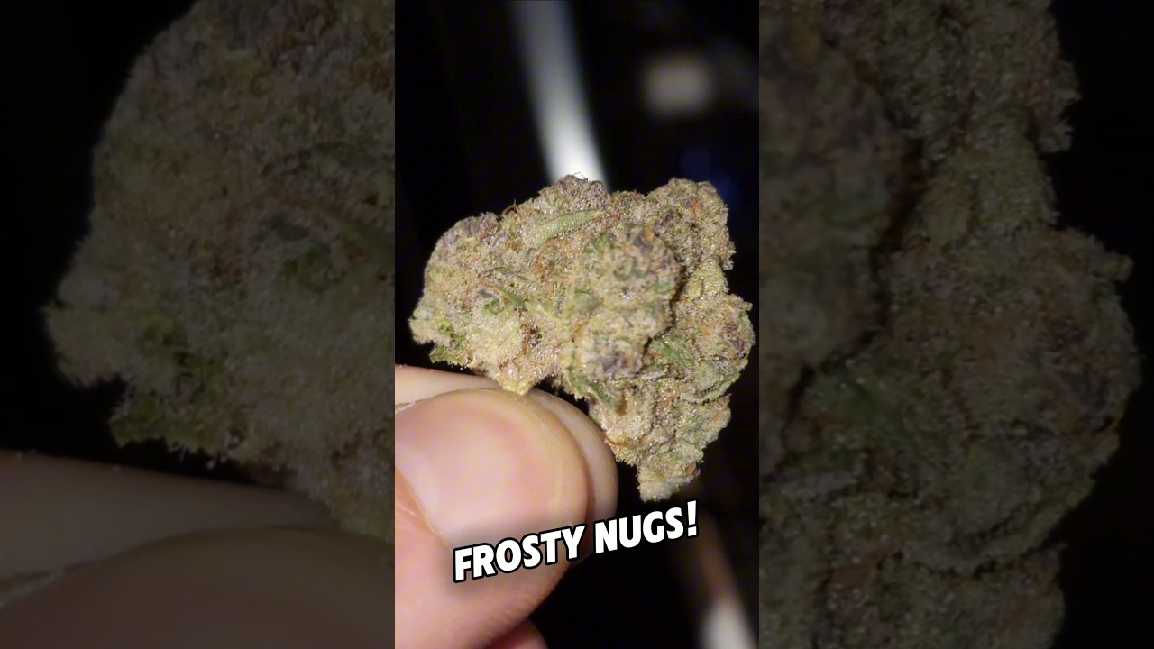 SUPER Frosty Cannabis Flowers!