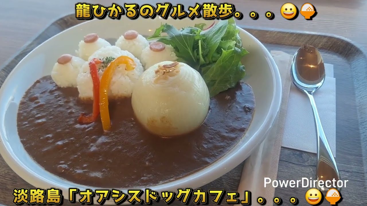 龍ひかるのグルメ散歩。。。😀淡路島「オアシスドッグカフェ」。。。😀🍚　　#淡路島　#オアシス　#ドッグカフェ　#カフェ　#ドッグラン　#レストラン　#カレー　#ホットドッグ　#犬　#食べ歩き　#グルメ