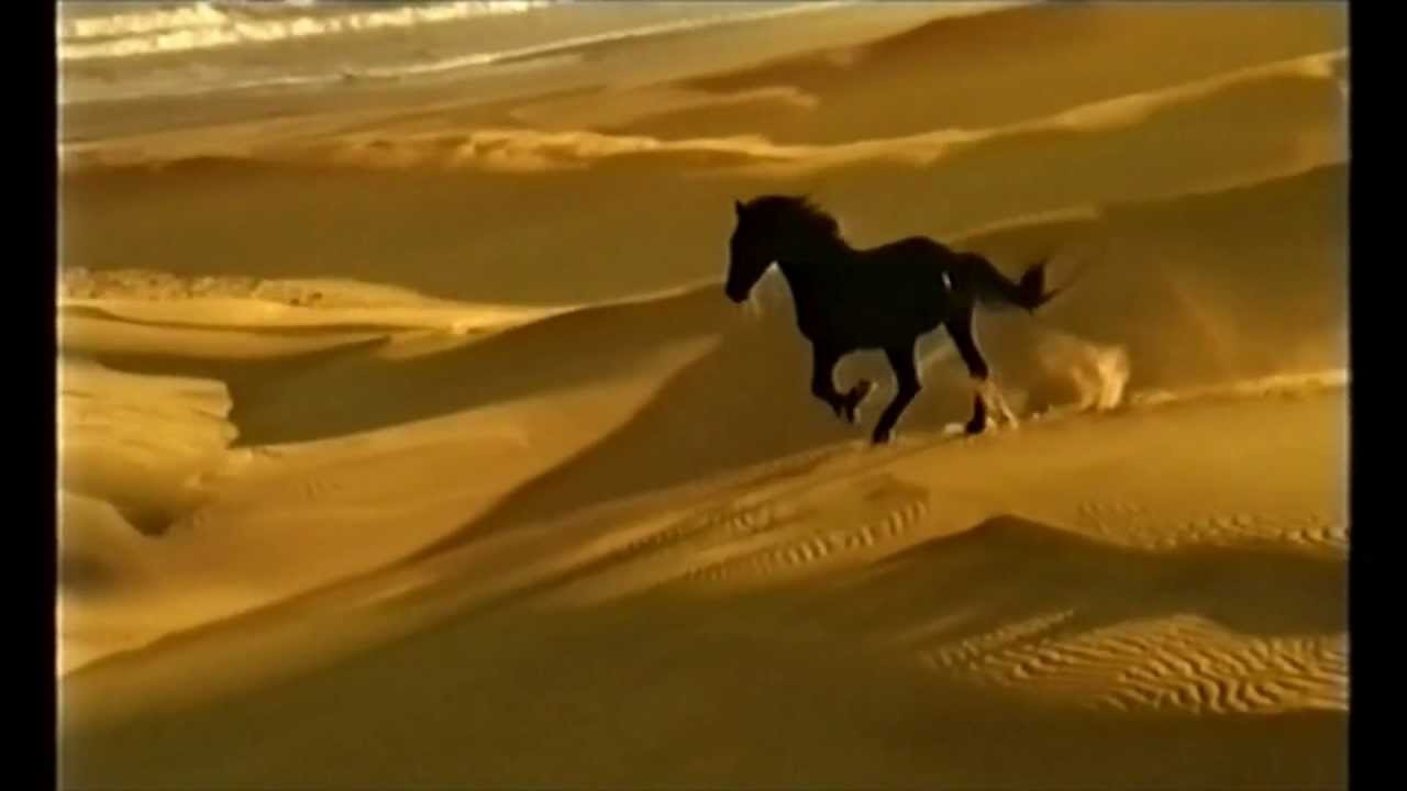 Shell V-Power Werbung Ferrari 2003
