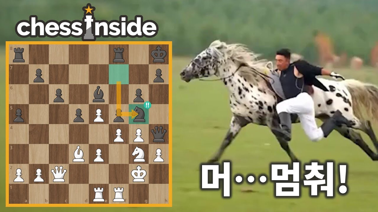멈출 수 없는 탁월한 나이트 희생!!