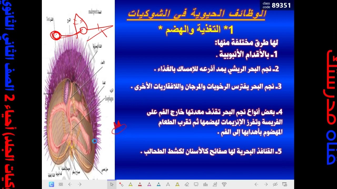 1  الدرس الأول شوكيات الجلد أحياء 2 الصف الثاني الثانوي