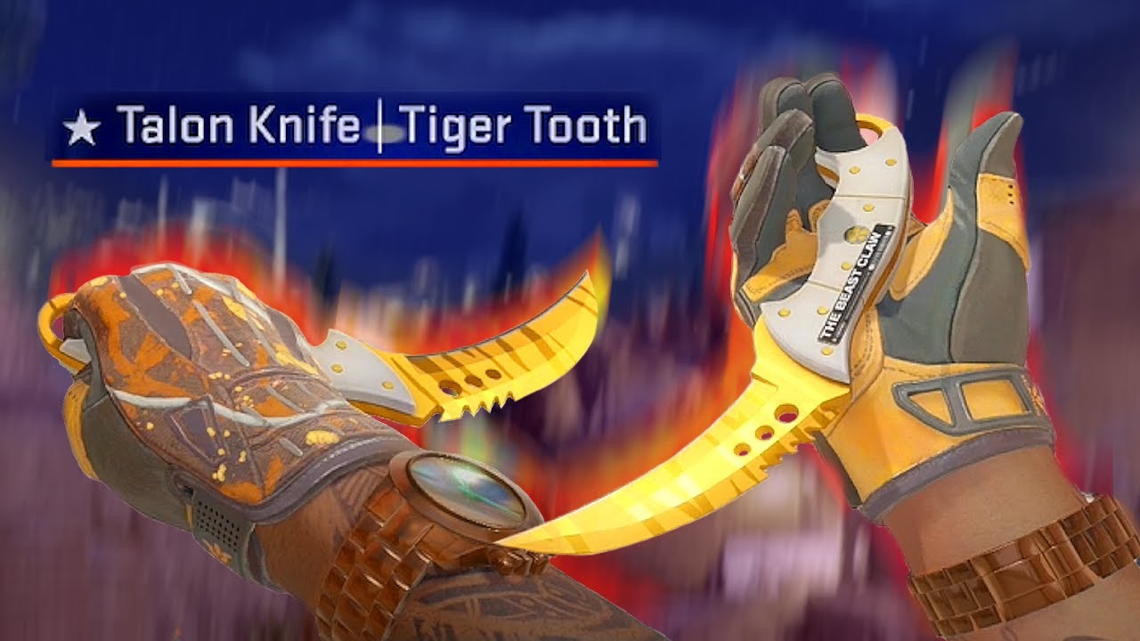 CS2 | Talon Knife (★) Tiger Tooth | Factory New FN SHOWCASE
