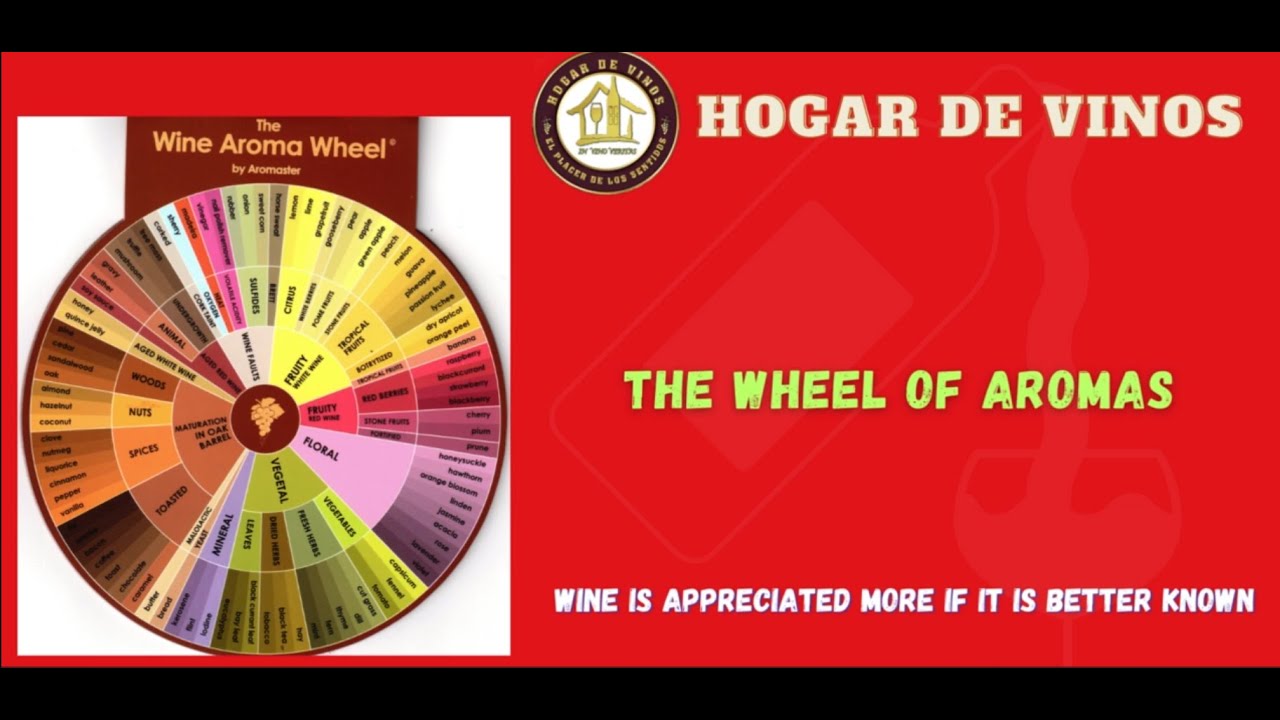 Discover all the secrets of the wine aroma wheel |