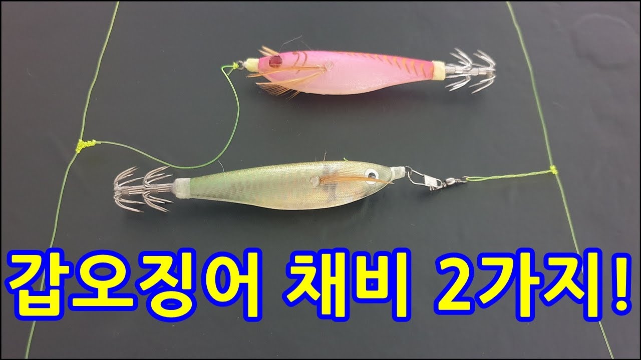 갑오징어 낚시에 필수 갑오징어 채비 2가지 ! 이것만 알면 끝!