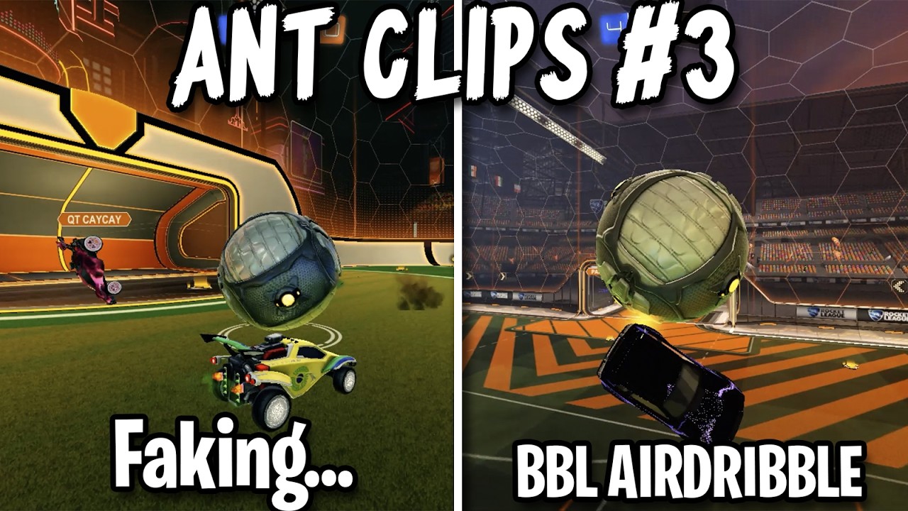 Ant Clips #3 BEST MOMENTS OF THE WEEK