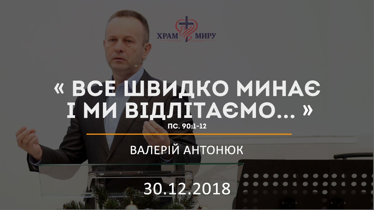 Все швидко минає і ми відлітаємо... / Валерій Антонюк / 30.12.2018