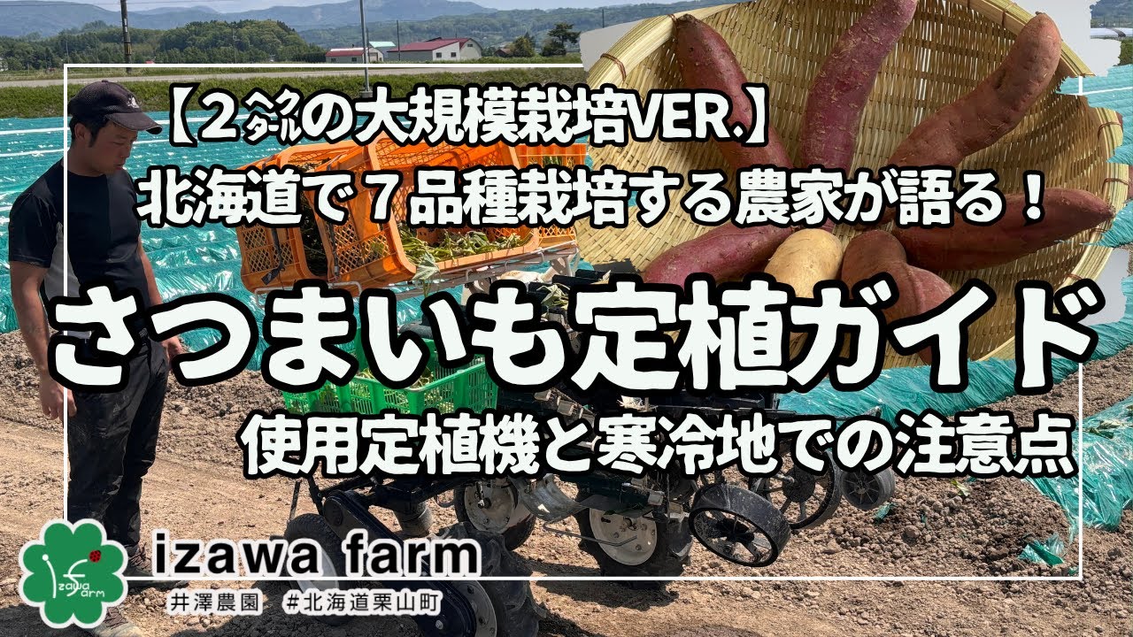北海道でのさつまいも大面積栽培への挑戦。2ヘクタールの植え付けノウハウを徹底解説