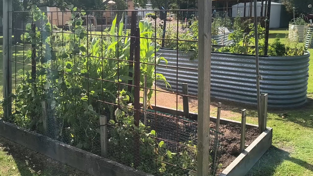Away From Home But I Still Found a Garden! Out and About - Reverse Homesteading