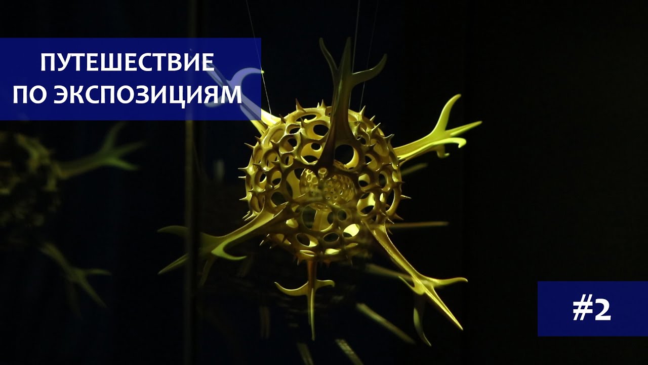Приморский Океанариум. Путешествие по экспозициям. Выпуск №2. Микромир.