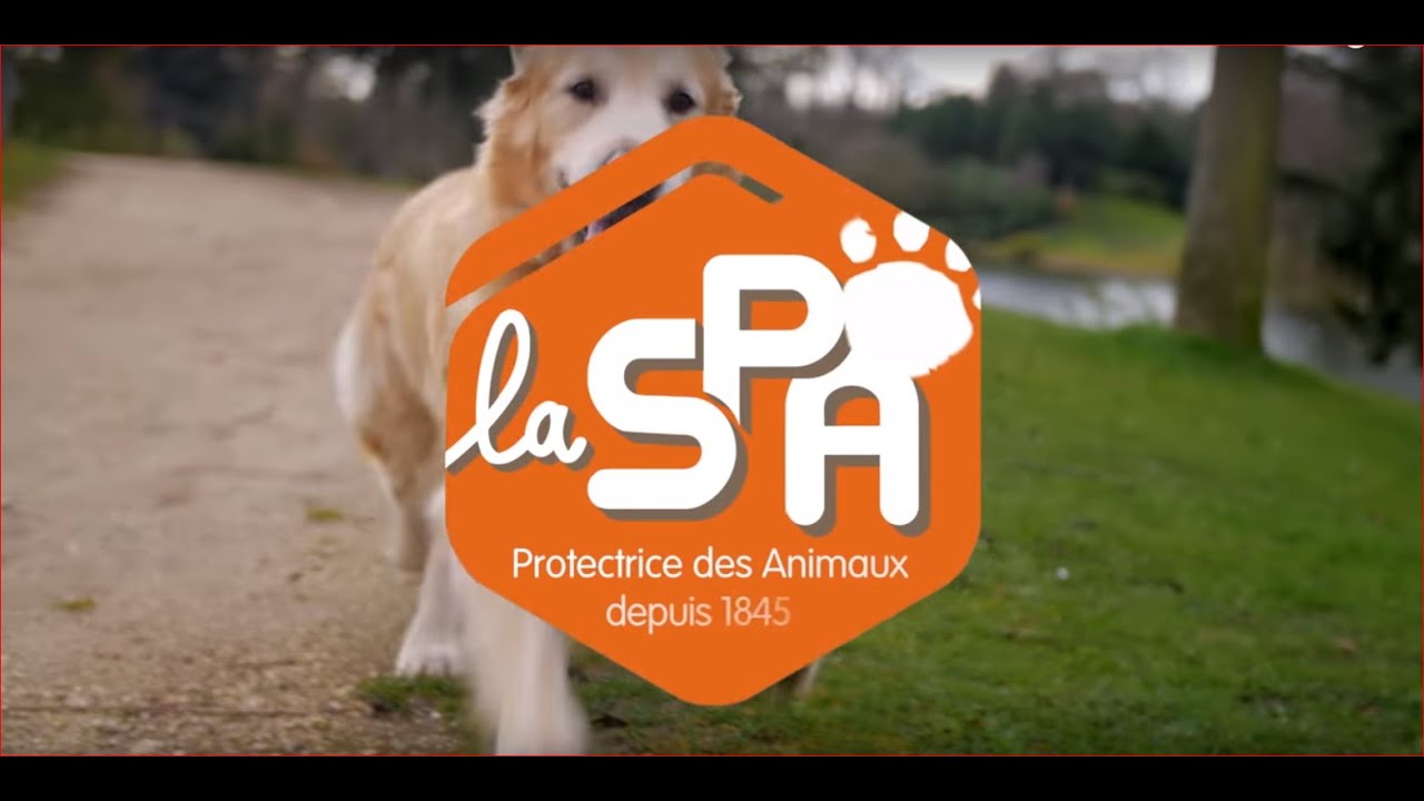 La SPA