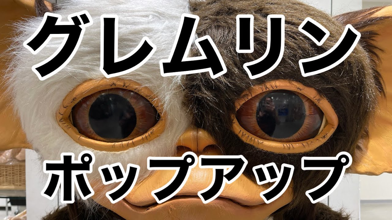 【新宿】グレムリンポップアップ【ギズモ】